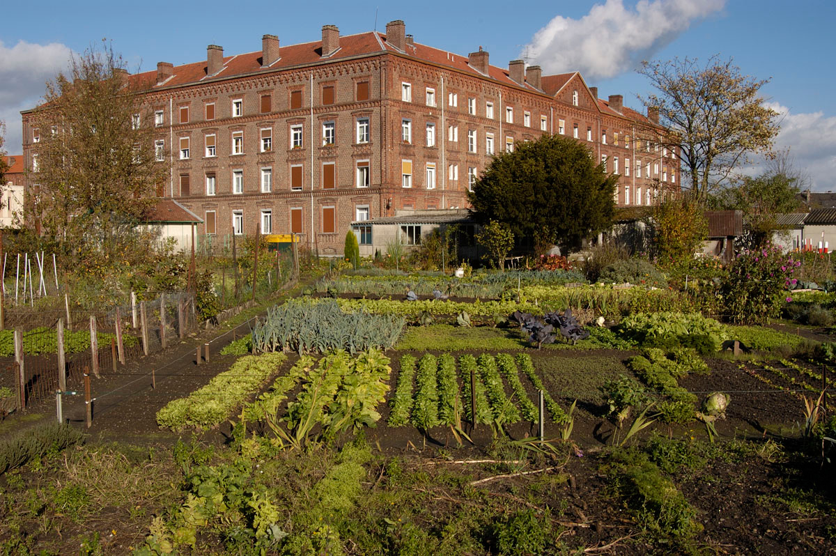 Des jardins potagers existent toujours près du pavillon Cambrai du Familistère.