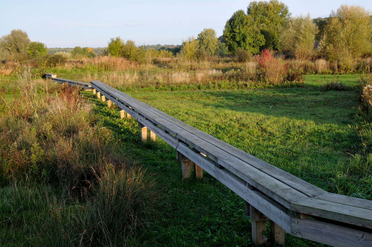 Des pontons en bois parcourent le jardin de la presqu’île du Familistère.