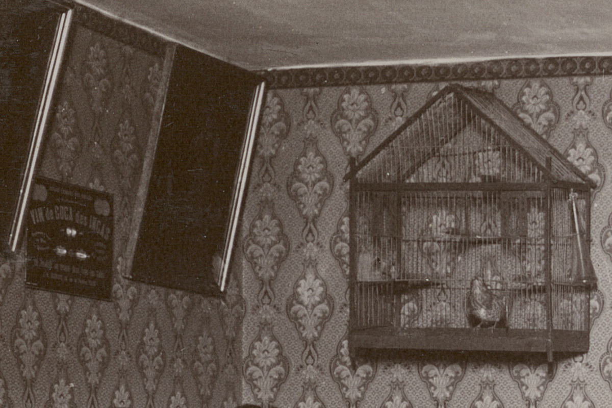 Détail de la cage à oiseaux sur la photographie de la cuisine du logement