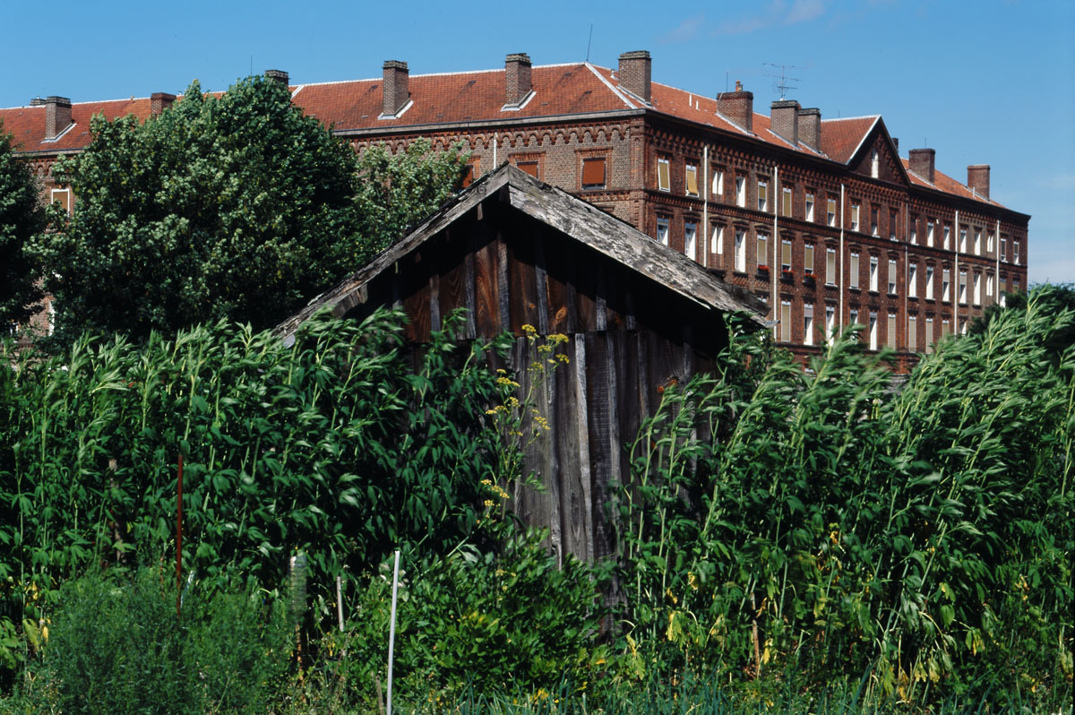 La photographie montre une cabane de jardin et le pavillon Cambrai