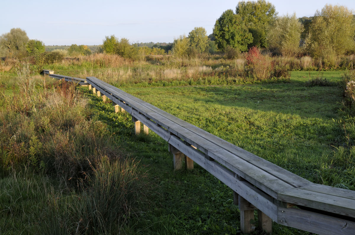 Des pontons en bois parcourent le jardin de la presqu’île du Familistère.