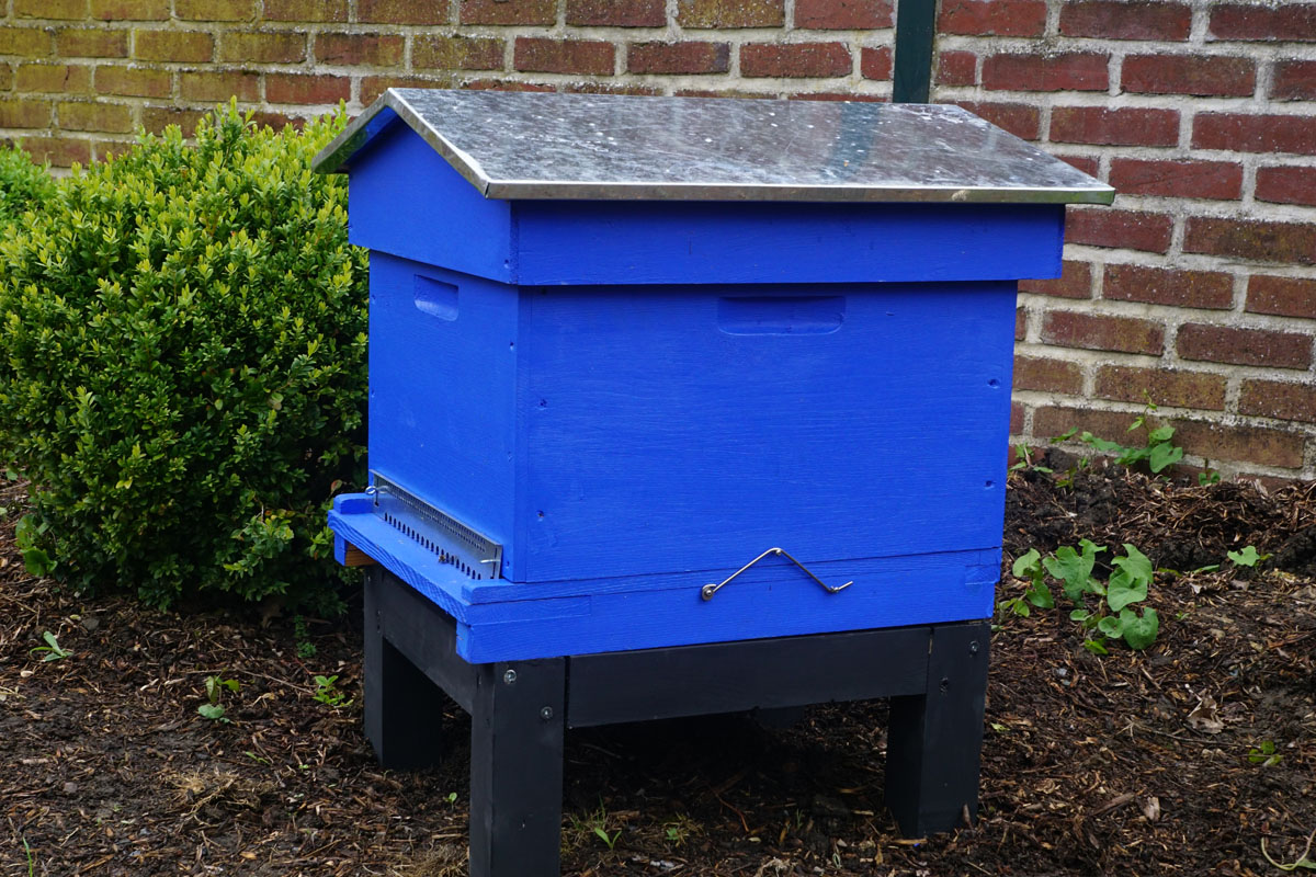 Une ruche bleue est installée dans le jardin d'agrément.