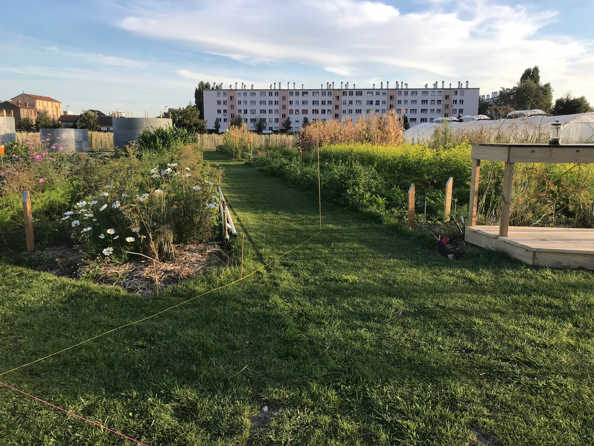 La photographie montre le potager de Zone sensible