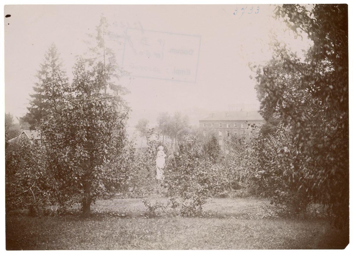 La photographie montre la prairie basse du jardin d'agrément du Familistère.