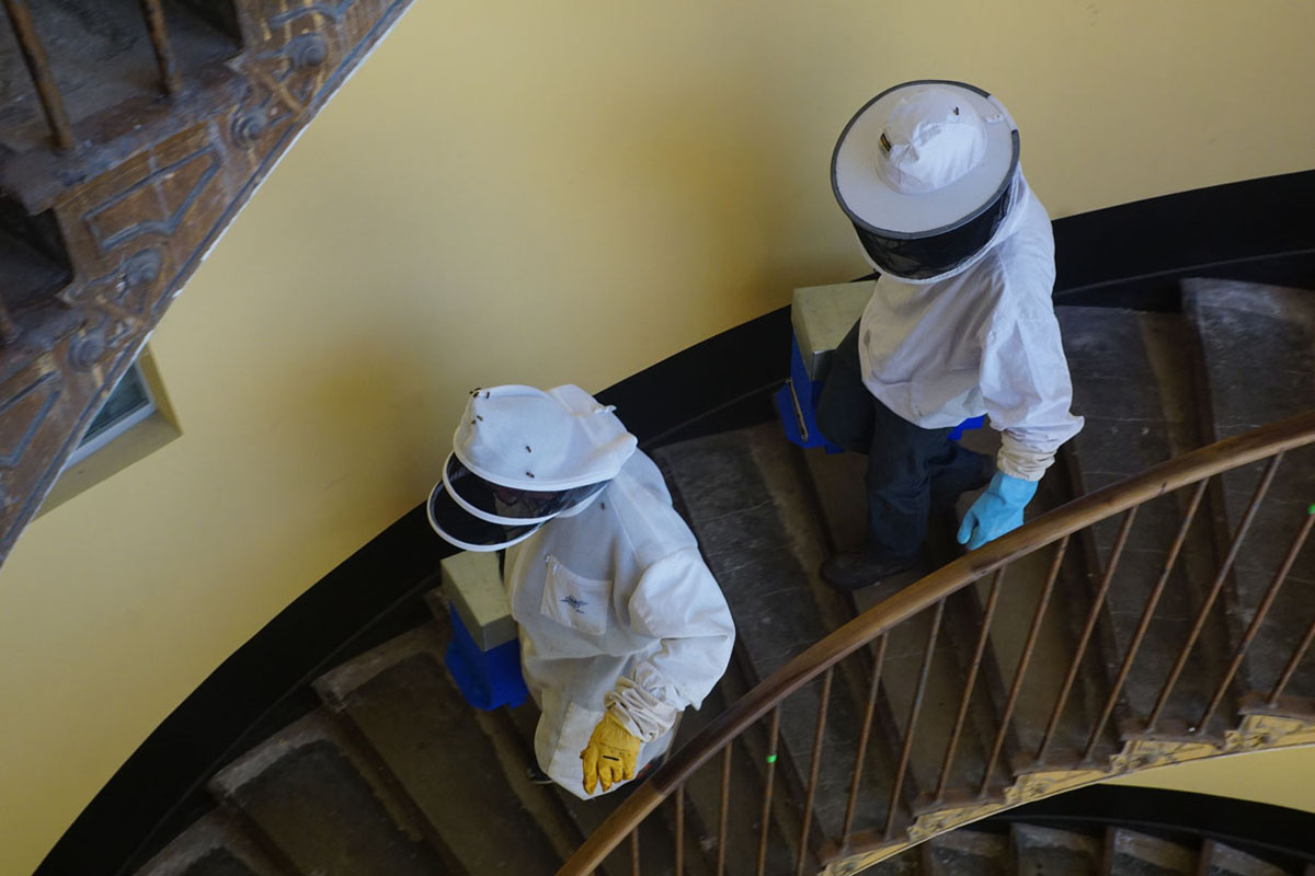 La photographie montre deux apiculteurs en tenue dans un escalier.