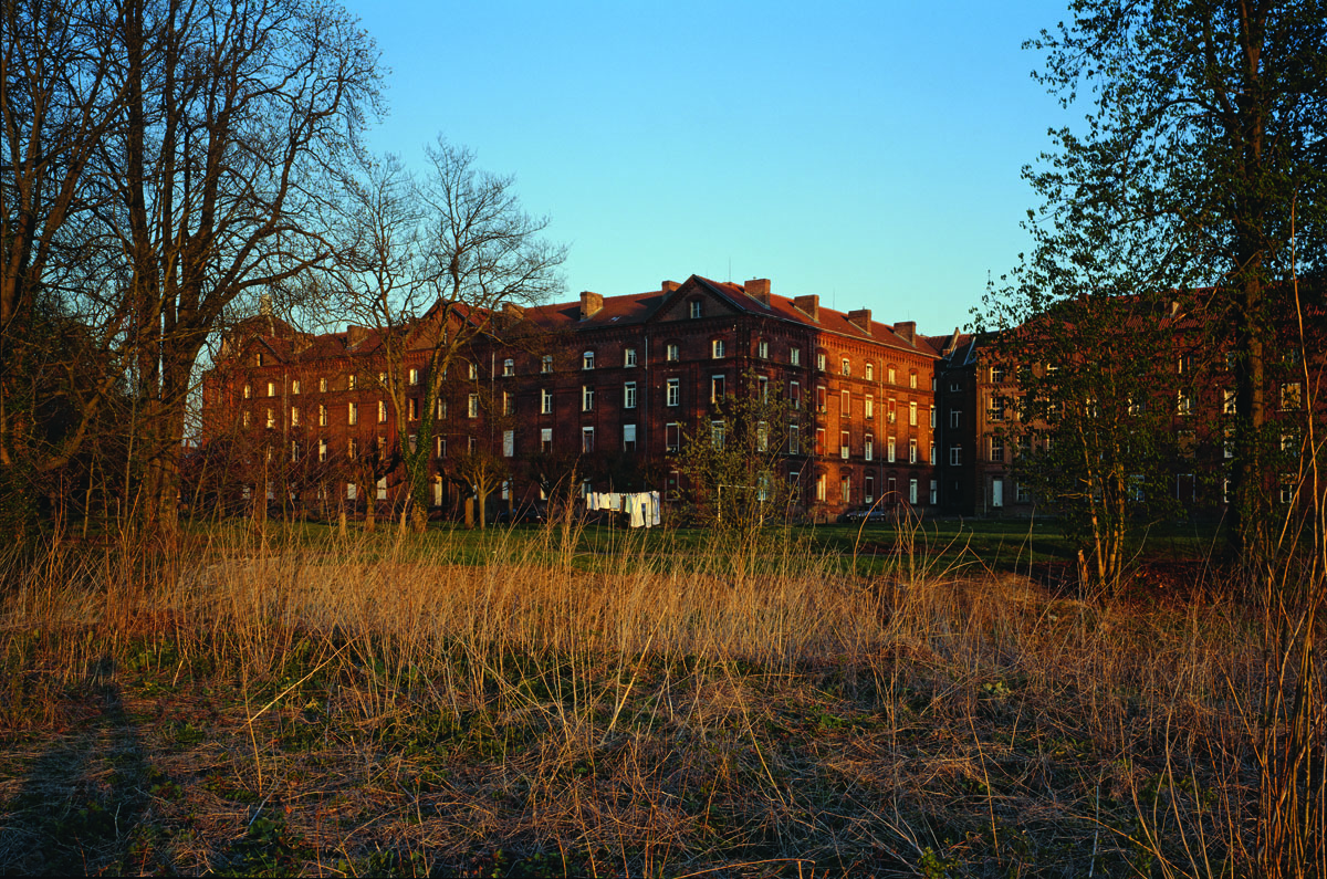 Vue des façades nord du Palais social au soleil couchant