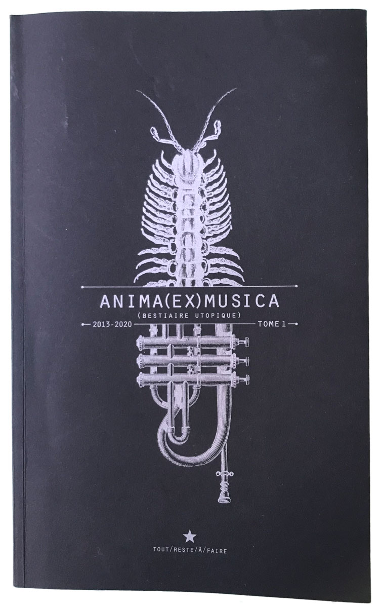 Couverture du livre Anima(ex)musica, tome 1