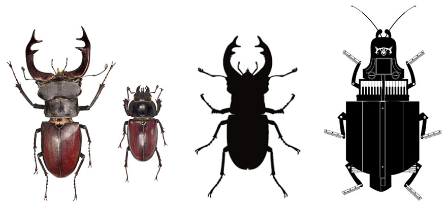 lucanus cervus
