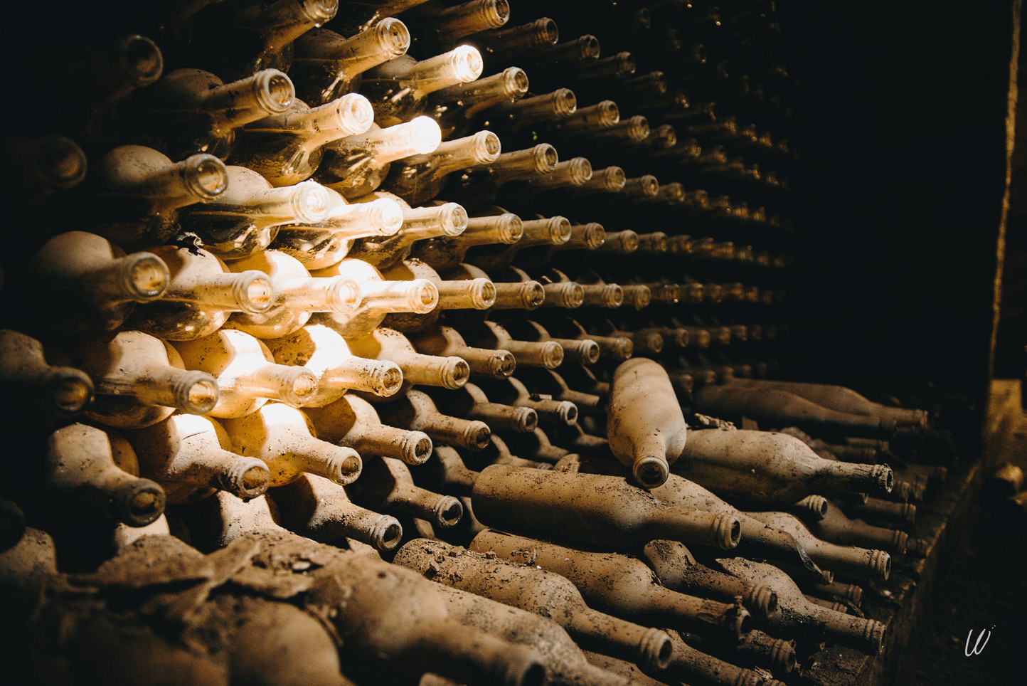 Vue de bouteilles dans la cave du Familistère