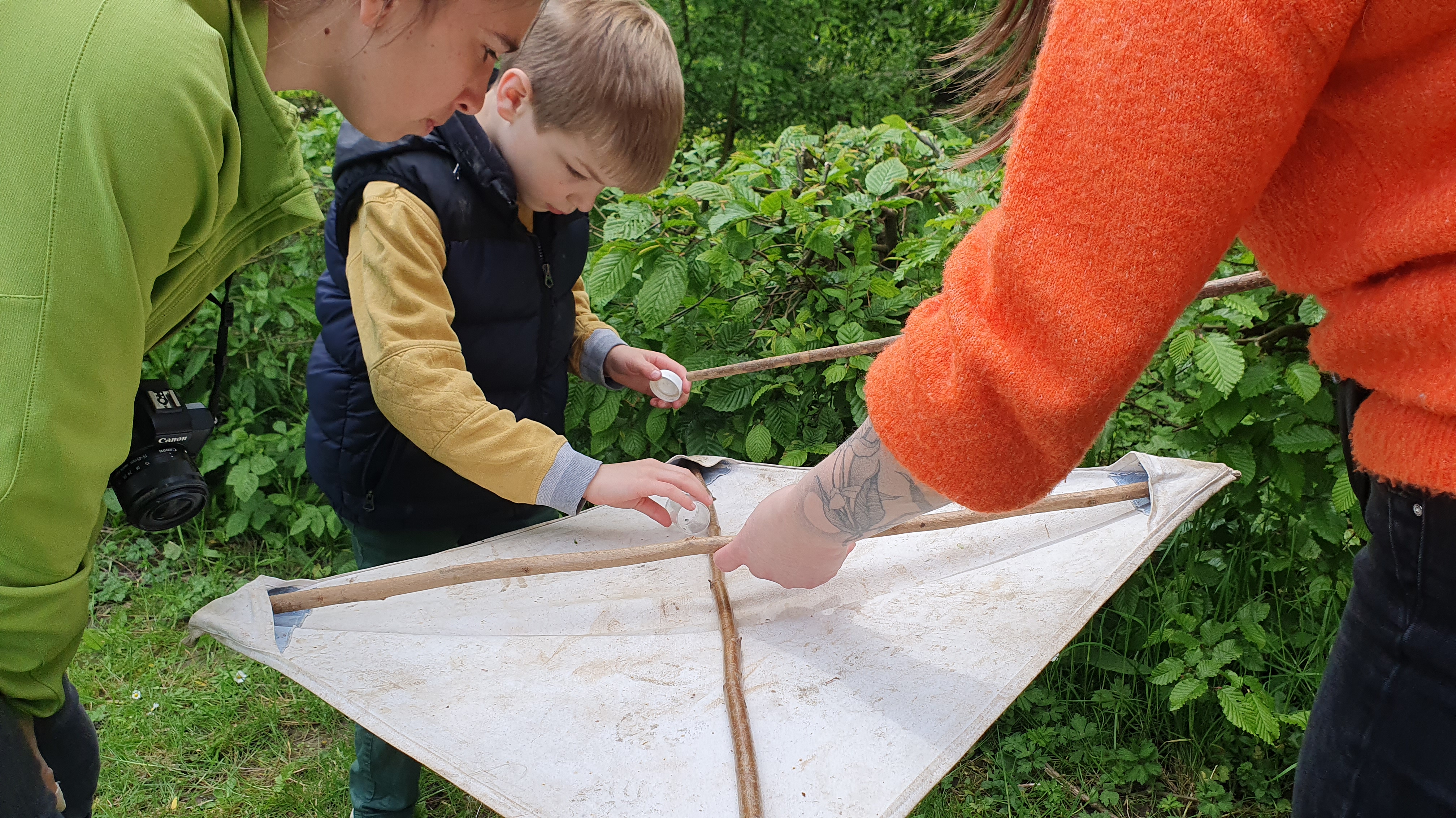 Atelier capture et observation, jeune public