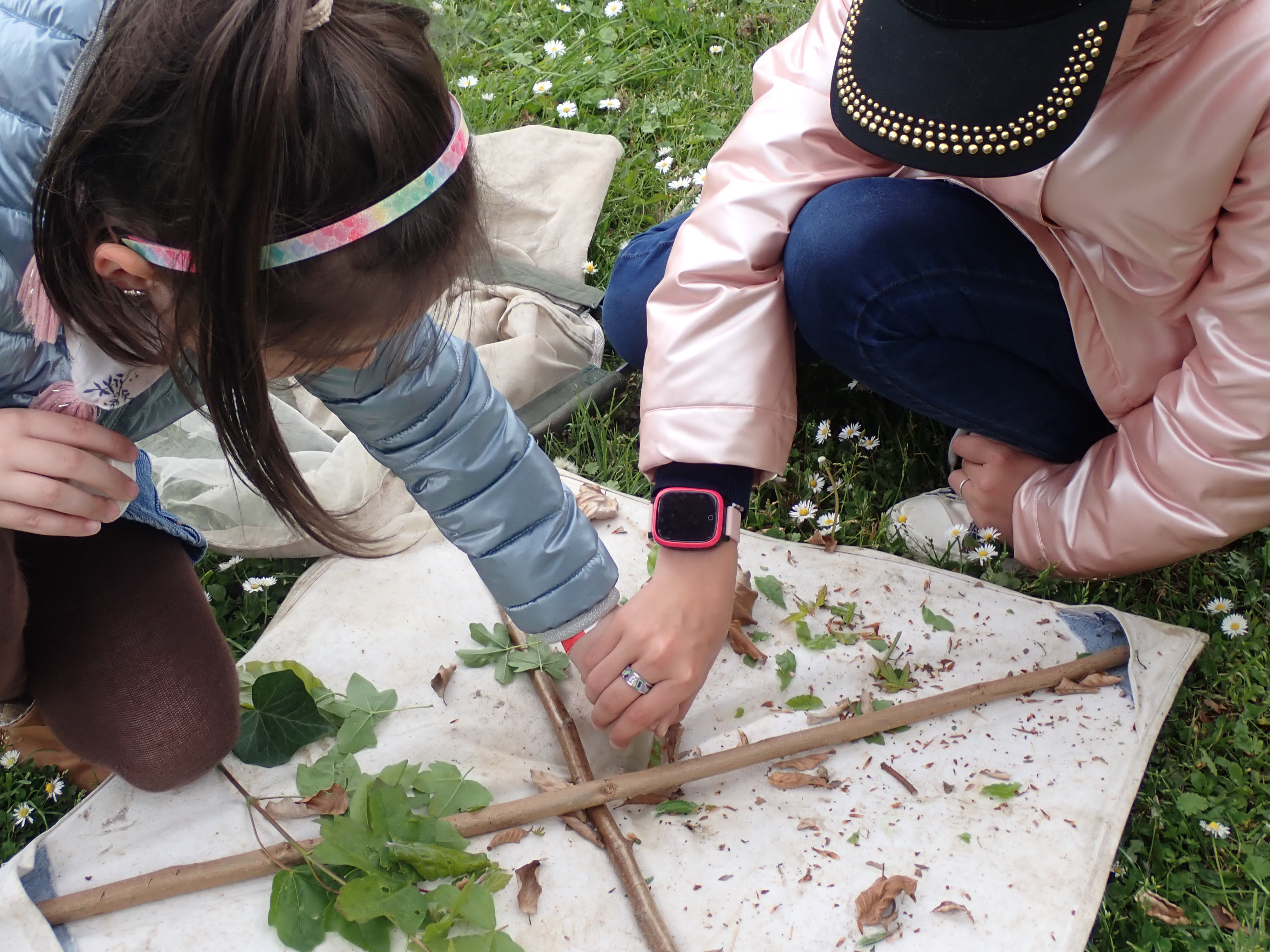 Atelier découverte des insectes - 21/09 à 14H